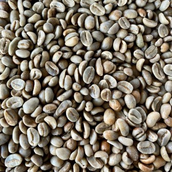 Special selected beans Toba
